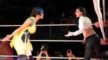shine31_2838429.jpg